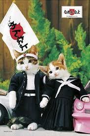 ダウンロード.jpg